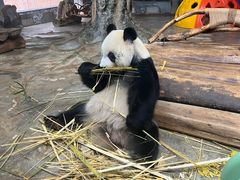 -海南热带野生动植物园