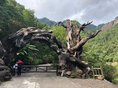 -龙湾潭国家森林公园