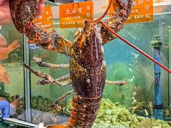 -朱仔记食府(江南大道店)