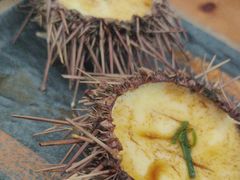 -海胆小馆(东北水饺·春柳店)