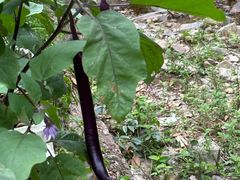 -东天目山风景区