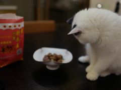 -阿男野栗王(金门路店)