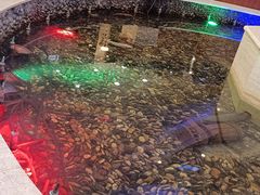 -碧中海汤泉汗蒸酒店