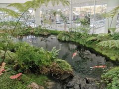 -罗红摄影艺术馆