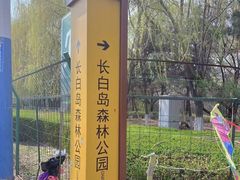 -长白岛森林公园