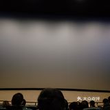 有一两周没看电影了，上映的海王啊，还有什么的都看过了