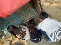 -呼吸森林·生态农庄农家乐私房菜