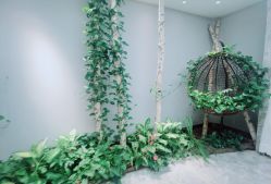 -艾维庭美学SPA