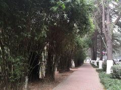 -西南交通大学(九里校区)
