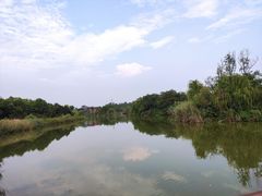 -白鹭湾湿地公园