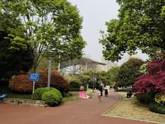 -杭州城北体育公园