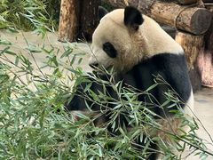 -杭州动物园
