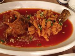 松鼠桂鱼-花家怡园