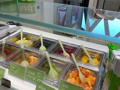 -Salud撒露欧洲冻酸奶(北苑上品店)