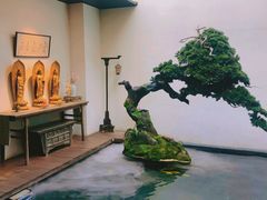 -觀芷隐轩