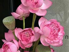 -蜀辣居鲜货老火锅(簇桥富顿中心店)