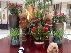 -廊坊固安福朋喜来登酒店