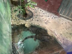 -上海大自然野生昆虫馆(东方明珠·爬宠昆虫探索中心)