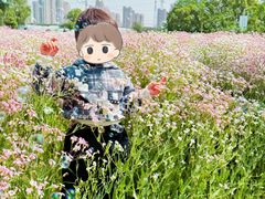 -菊园百果园