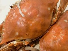 -北塘海鲜·天津菜·鲅鱼水饺是一绝(大光明桥旗舰店)