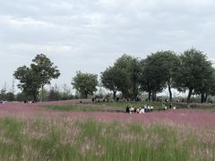 -汉长安城未央宫国家考古遗址公园