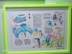 -上海昆虫博物馆