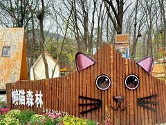 -沂蒙山旅游区云蒙景区(蒙山国家森林公园)