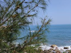 -广东惠东海龟国家级自然保护区