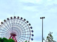 -成都南湖公园