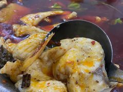 -重庆特色冷锅鱼(武大店)