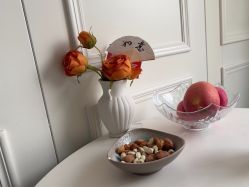 -雪绒花月子会所(祥盛店)