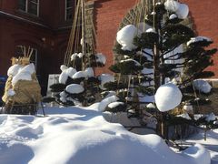 -北海道厅旧本厅舍(旧本庁舎)