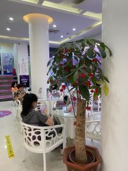 -美莱医疗美容医院