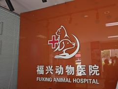 -瑞派福兴宠物医院犬猫全科·骨科·中西医结合(河东店)