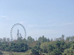 -日照海滨国家森林公园