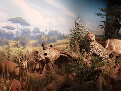 -陕西自然博物馆