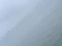 -厦门邮轮中心厦鼓码头(轮渡站)