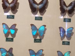 -陕西自然博物馆