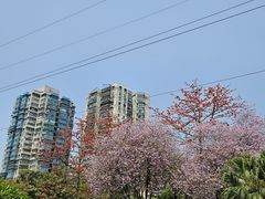 -晓港公园