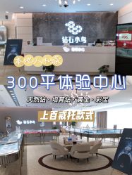 -Zbird钻石小鸟·钻戒婚戒定制高端珠宝私人定制中心
