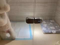 -佐罗家宠物馆·猫文化馆(紫霞路店)