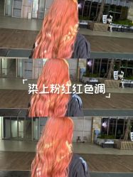-天使之手