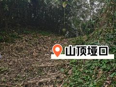 -龙窝子