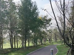 -苏州湾体育公园