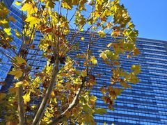 -新荟城(望京店)