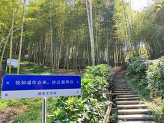 -宁波浙东大竹海景区