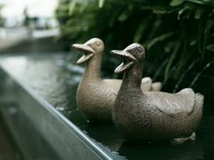 -梧桐花园餐厅(新城店)