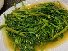 -小唐小四川水煮鱼(北三路店)