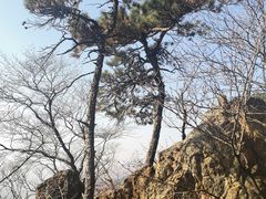 -大连天门山国家森林公园