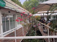 -芭厘农庄老字号·清远鸡